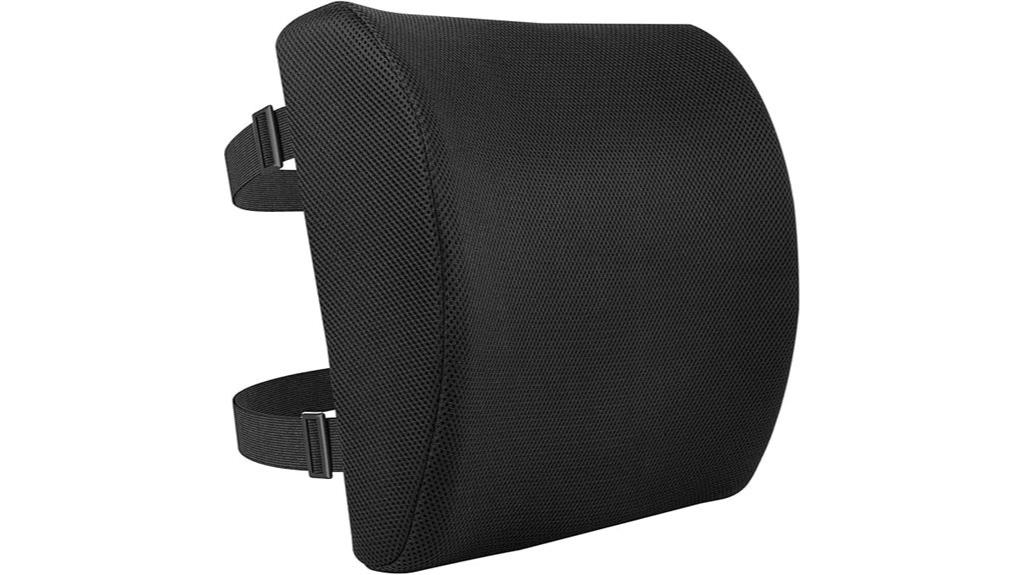 amazon basics back cushion