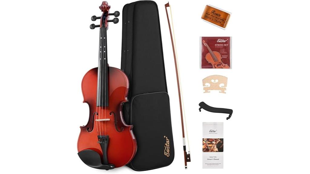 beginner violin kit set