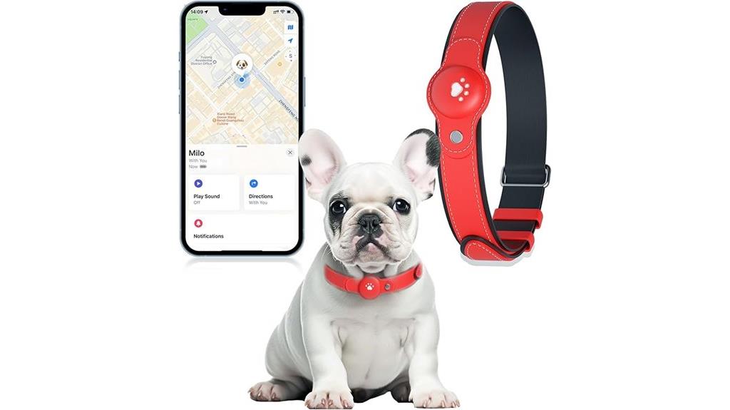 dog gps smart collar