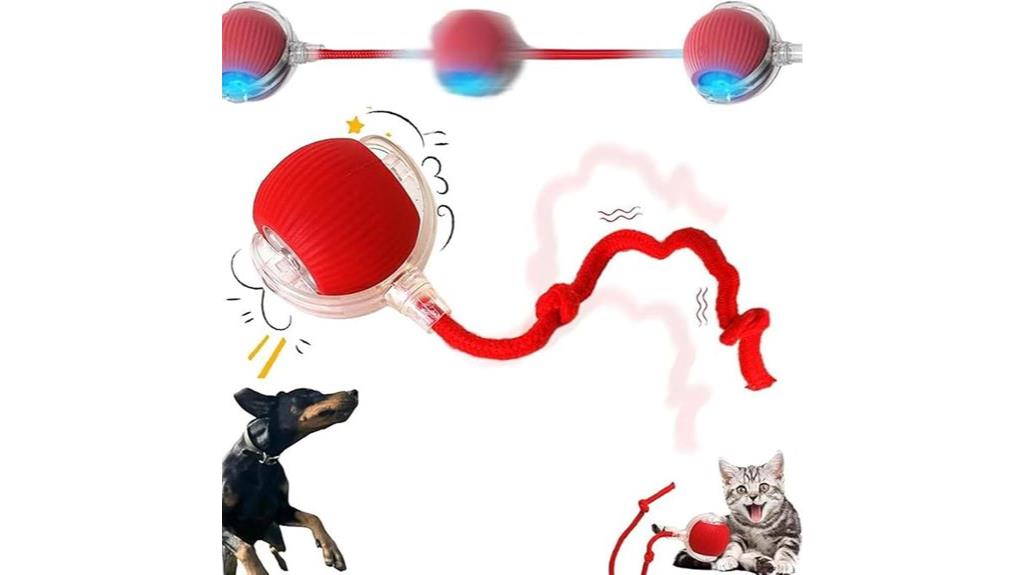 engaging ball toy for cats