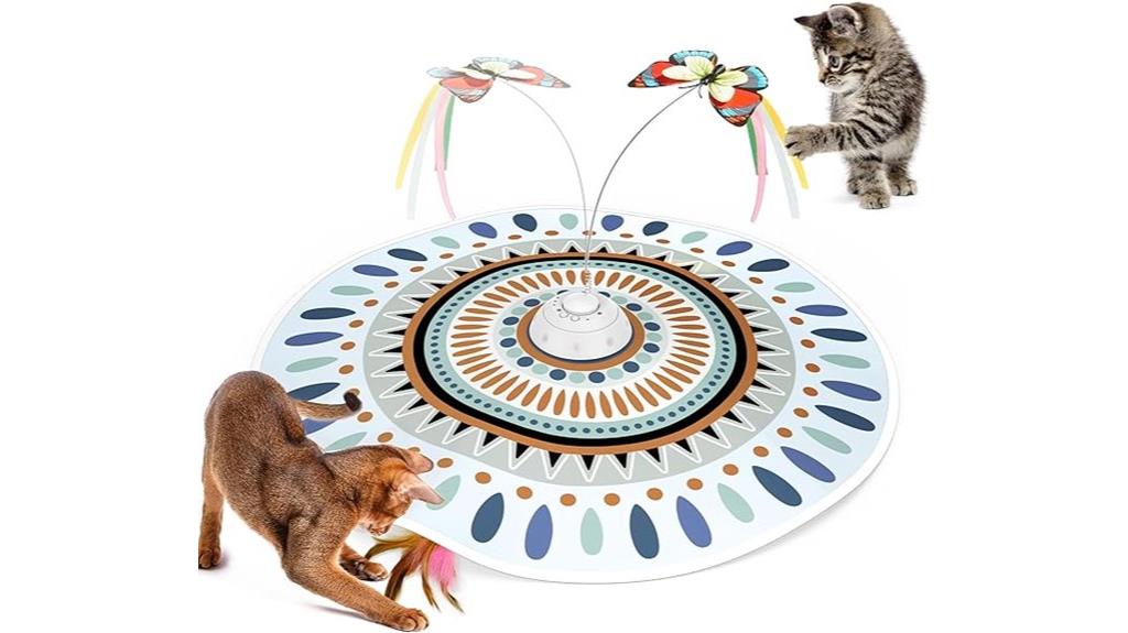 interactive 3 in 1 cat toy