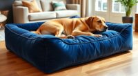 large breed orthopedic beds