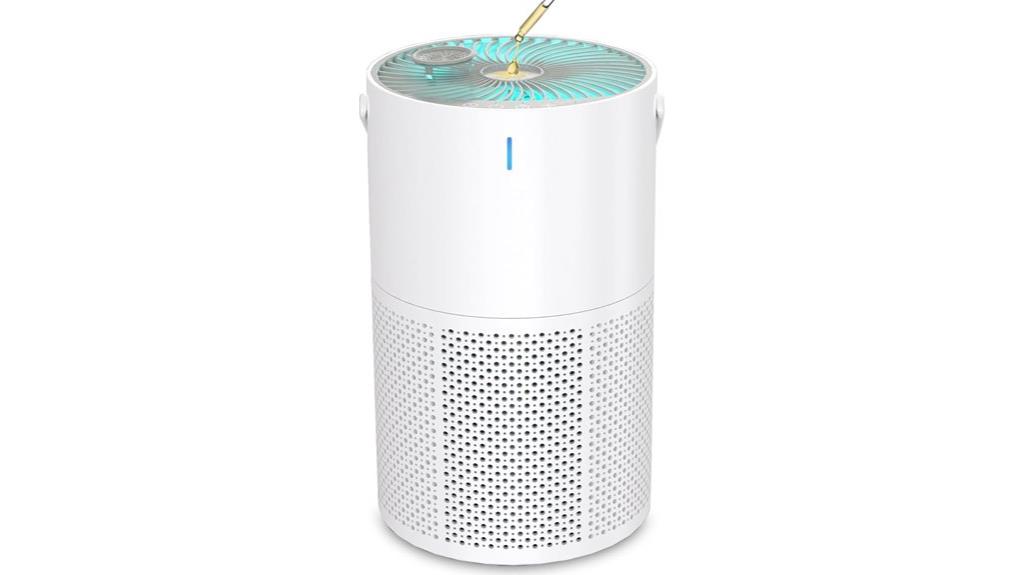 large room air purifier