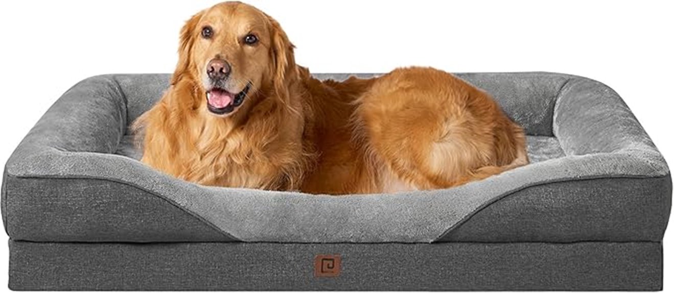 memory foam dog bed