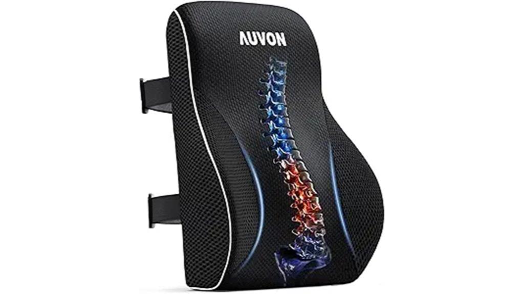 office lumbar support pillow