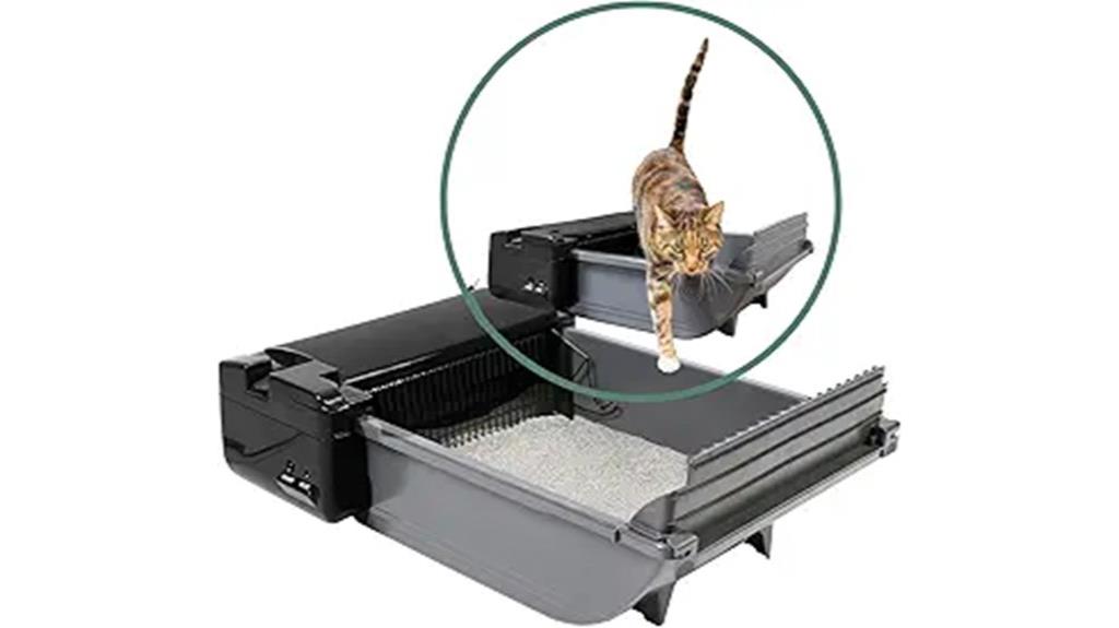 self cleaning cat litter box
