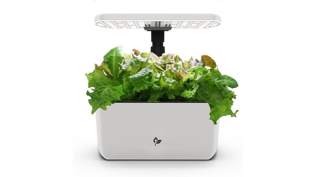 indoor soil free gardening kit