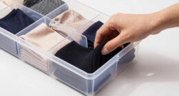 8 Best Drawer Organizer for Tights in 2026