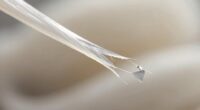 elastic fibers weaken gradually