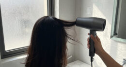 15 Best High-Speed Hair Dryers in 2026